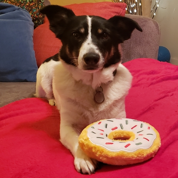 Meet your Posher, Mary - Picture 3 of 9